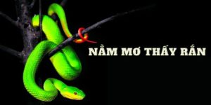 nằm mơ thấy rắn