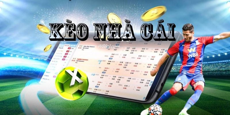 Hướng dẫn chi tiết về soi kèo bóng đá từ Kubet 